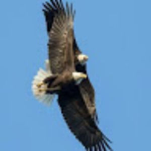 Meet your Posher, Rob